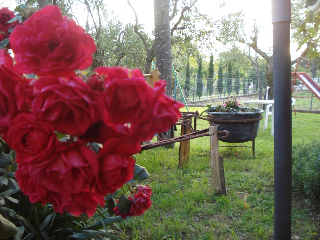 Agriturismo La Fattoria San Donato Val di Comino Exterior foto